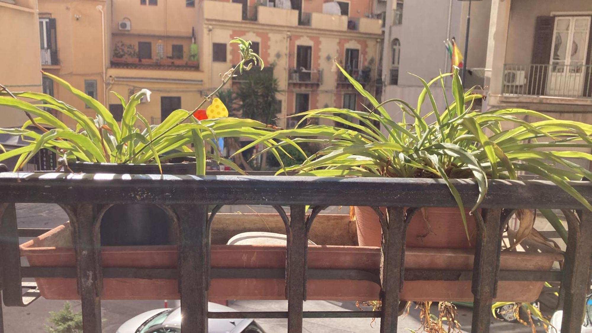 Casa Empedocle Apartamento Palermo Exterior foto